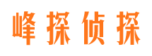 安顺外遇调查取证